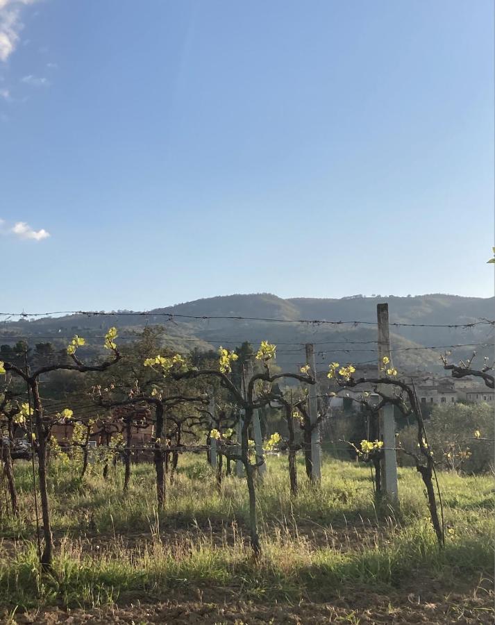 Un Posto Bed & Breakfast Bevagna Bagian luar foto